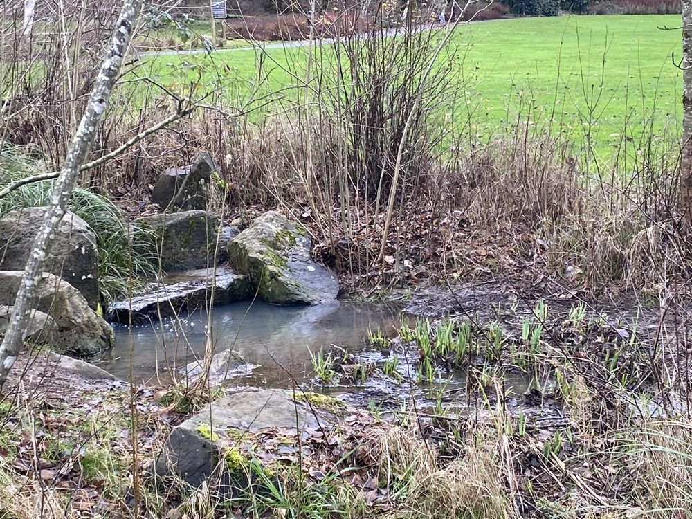 FREEPONS PARK Updated September 2024 1399 Bickner St, Lake Oswego