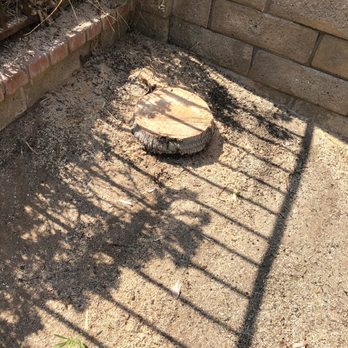 Green Crest Tree Care - Job Completed - Tree Services Near Me - Sun valley , California