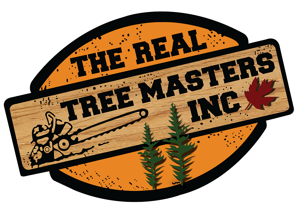 THE REAL TREE MASTERS Updated May 2024 15062967 Dundas Street W