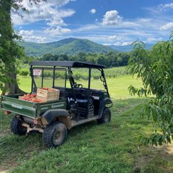 F. T. Valley Farm
