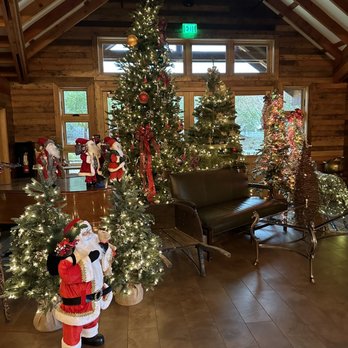 Bricoleur Vineyards - Wineries Near Me - Windsor, California