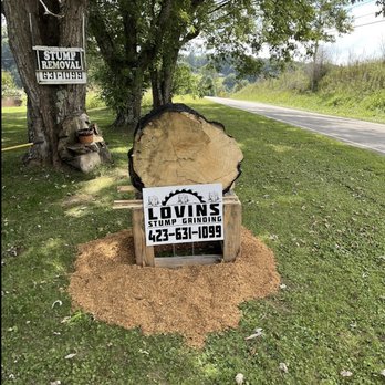 Lovins Stump Removal - Tree Services Near Me Lovins Stump Removal - Tree Services Near Me