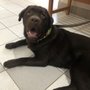 Photo of Rock Spring Veterinary Clinic