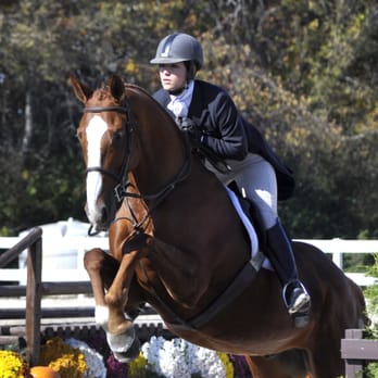 Dunham Woods Farm - Horseback Riding Near Me - Elgin, Illinois Dunham Woods Farm - Horseback Riding Near Me - Elgin, Illinois