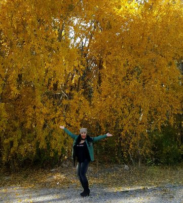 Hyde Memorial State Park by null