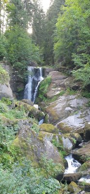 Triberg Waterfalls by null