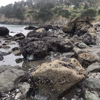 Muir Beach - Parks Near Me - Muir Beach, California Muir Beach - Parks Near Me - Muir Beach, California