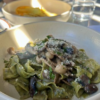 Terra - Pappardelle al Ragu di Funghi - Italian Near Me - Santa Clara, California