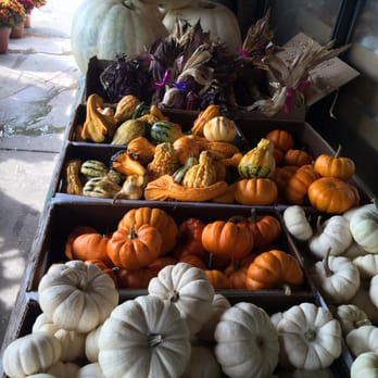 Imperial Produce - Fruits & Veggies Near Me - Imperial, Missouri Imperial Produce - Fruits & Veggies Near Me - Imperial, Missouri