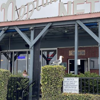 Neptune's Net - Seafood Near Me - Malibu, California