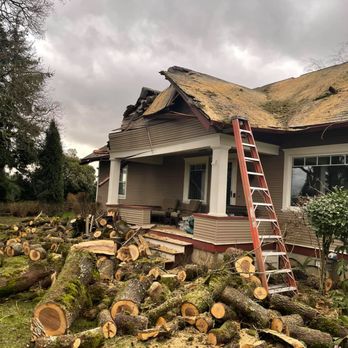 Sequoia Tree Service - Tree Services Near Me - Damascus, Oregon