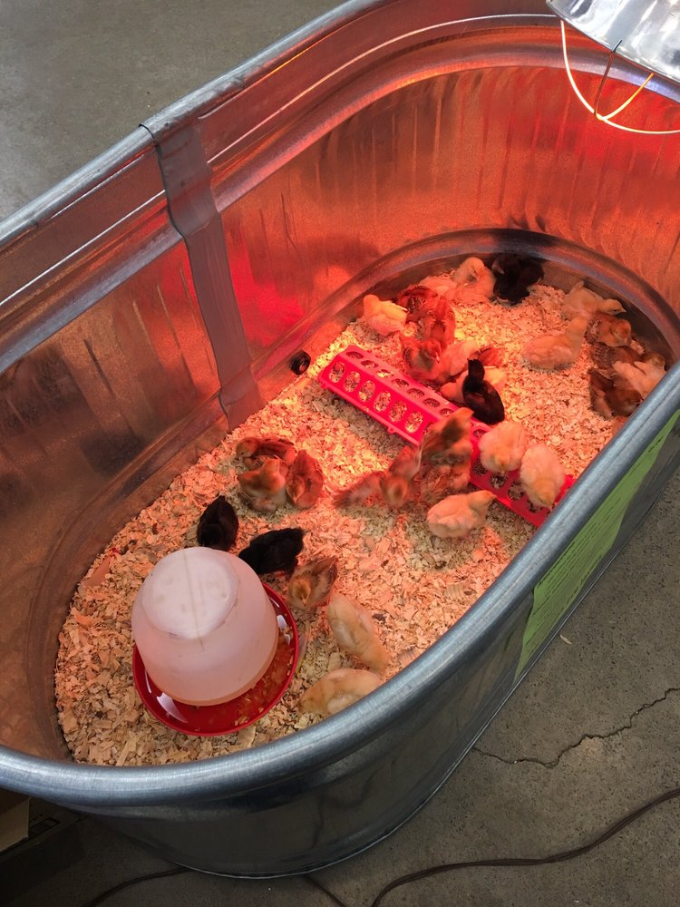 JUSTUS TRUE VALUE HOME & GARDEN Updated September 2024 587 Justus