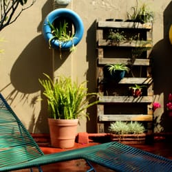 Hostal Hospedarte Chapultepec - Upstairs terrace, do your laundry and very some sun!