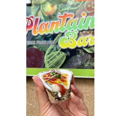 Plantain Bar by null
