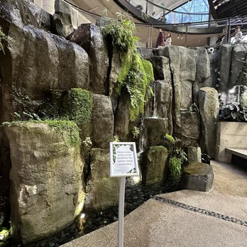 Amazon Spheres - Botanical Gardens Near Me - Seattle, Washington Amazon Spheres - Botanical Gardens Near Me - Seattle, Washington