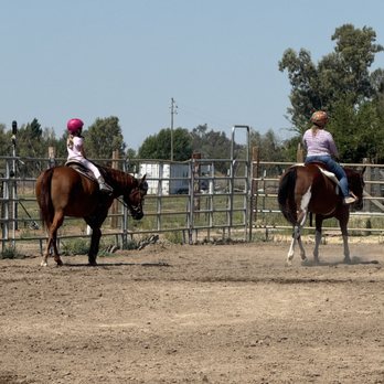 KLC Equine - Horseback Riding Near Me KLC Equine - Horseback Riding Near Me