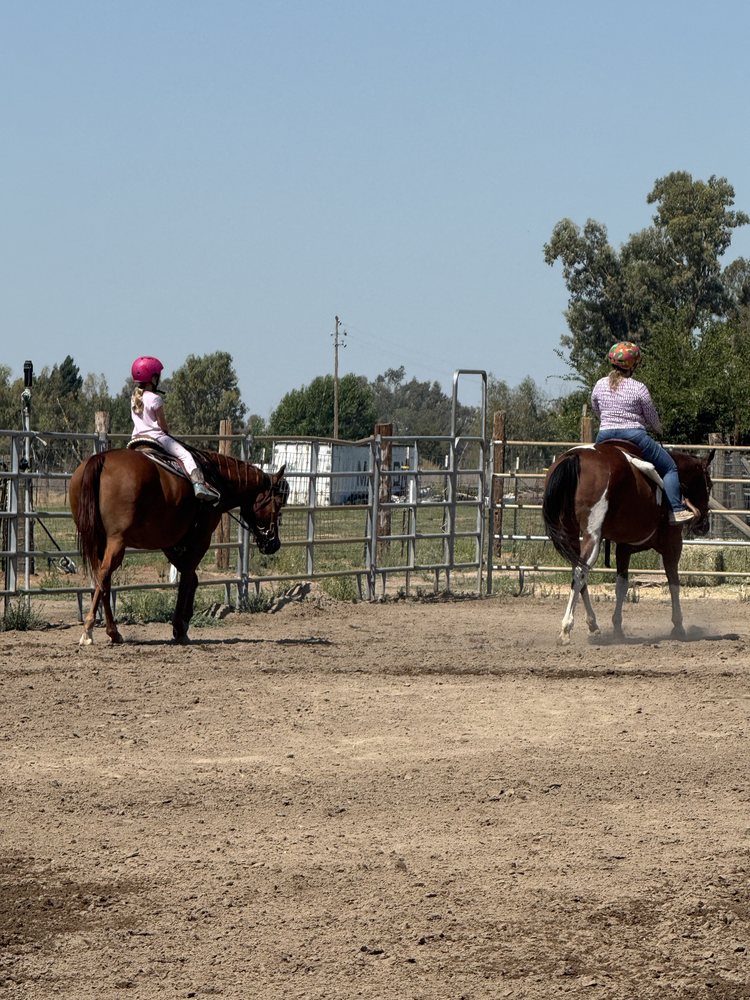 KLC Equine Logo
