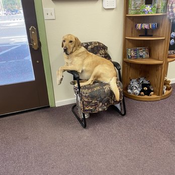 Bigfoot Print & Copy - Hunter! - Printing Services Near Me - Cave Junction, Oregon Bigfoot Print & Copy - Hunter! - Printing Services Near Me - Cave Junction, Oregon