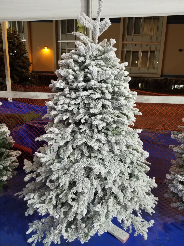 ABC TREE FARMS 531 Bayshore Blvd, San Francisco, California