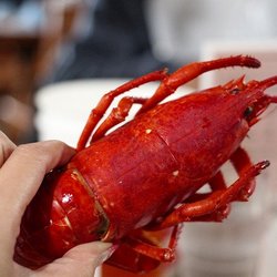 Fisherman's Wharf Lobster Suppers