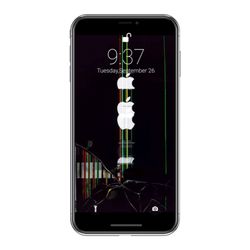 DMC GeeKs - Professional iPhone repair in Canyon Lake Texas