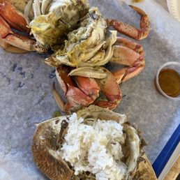 Dungeness crab Dungeness crab