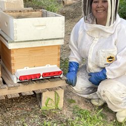 Honey Horizons - Trying out this new hive entrance