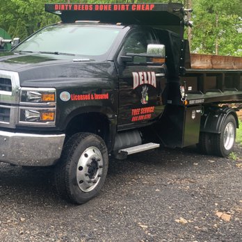 DeLia Tree Service - Tree Services Near Me - Gales Ferry, Connecticut DeLia Tree Service - Tree Services Near Me - Gales Ferry, Connecticut