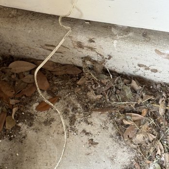 Smart Living Pest Solutions  - Removed mud dauber nest - Pest Control Near Me