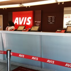 Avis