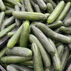 Food4Less - The only cucumbers available