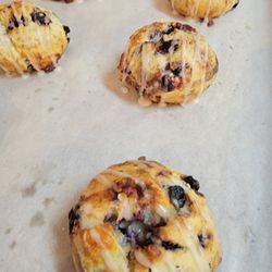Sammiches - Blueberry Lemon togas