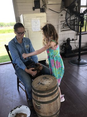 Photo of Ingalls Homestead - De Smet, SD, US. Grinding wheat for flour in a coffee grinder