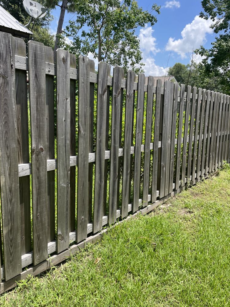 RENEW CREW PRESSURE WASH & SOFT WASH Updated September 2024 14