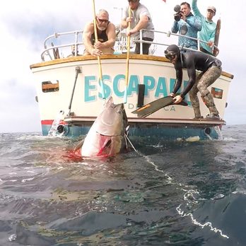 Lineage Charters - Nobody handles all the gear associated with spearfishing better than this crew and boat. - Fishing Near Me - San Diego, California Lineage Charters - Nobody handles all the gear associated with spearfishing better than this crew and boat. - Fishing Near Me - San Diego, California
