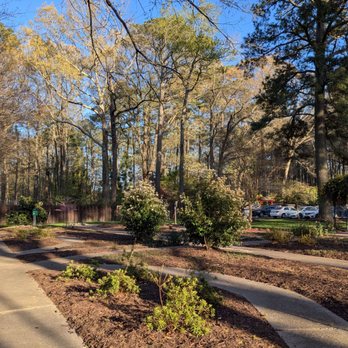 Red Wing Park - Spring 2026 - Dog Parks Near Me - Virginia Beach, Virginia