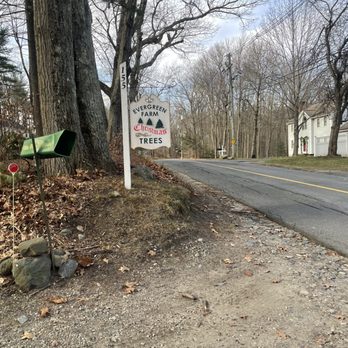 Evergreen Farm - Christmas Trees Near Me - Sterling, Massachusetts
