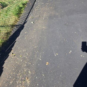 Pine Hill Tree Service - Use my leaf blower to clean up their mess - Tree Services Near Me - Mahwah, New Jersey Pine Hill Tree Service - Use my leaf blower to clean up their mess - Tree Services Near Me - Mahwah, New Jersey