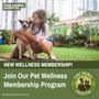 Photo of Pine Animal Hospital & Integrative Wellness Center