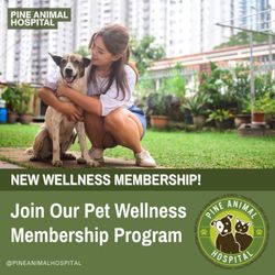 Pine Animal Hospital & Integrative Wellness Center