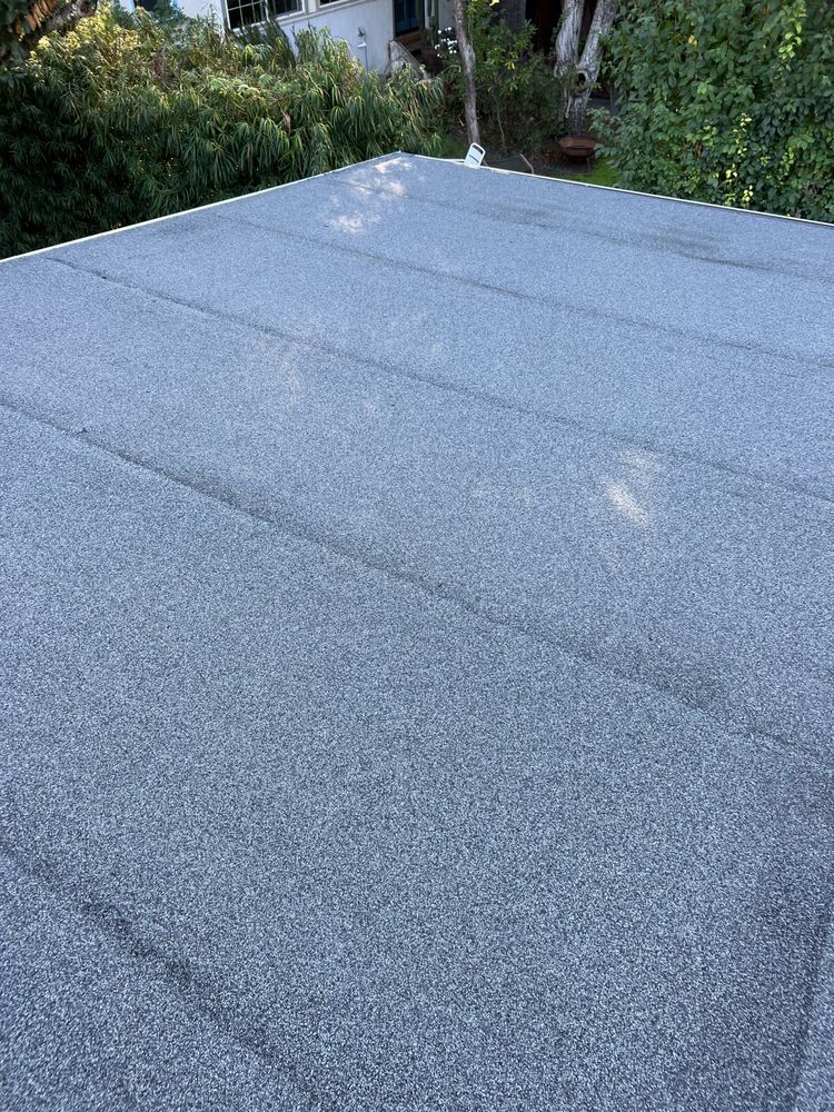 Slide of Project Roofing