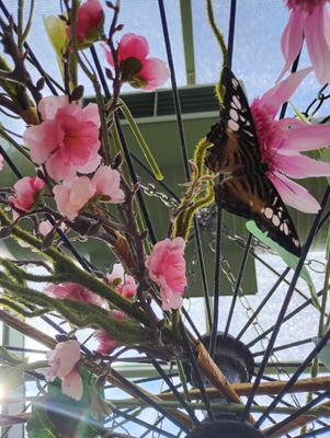 Wings of Mackinac by null