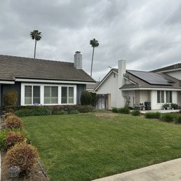 After tree removal After tree removal
