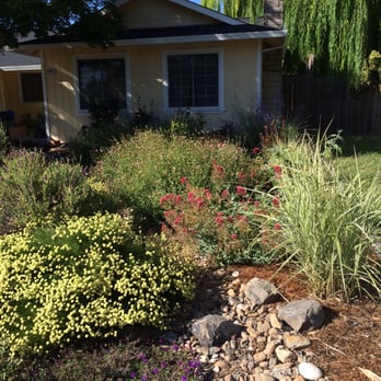 Local Landscapers - a garden with rocks and plants - Landscape Architects or Designers Near Me Local Landscapers - a garden with rocks and plants - Landscape Architects or Designers Near Me