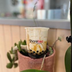 Sharetea