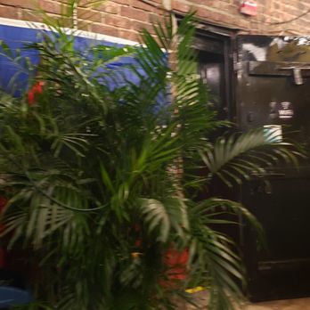 Stella's - Caribbean Near Me - Brooklyn, New York Stella's - Caribbean Near Me - Brooklyn, New York