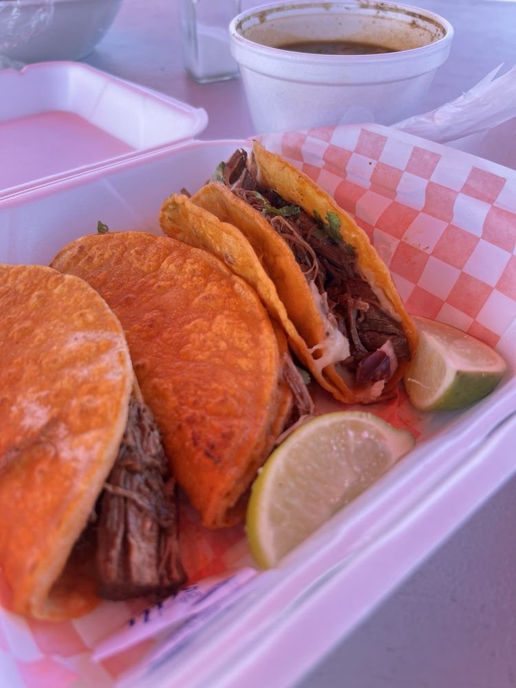 Birrieria Y Taqueria Delicias La Reynita Logo