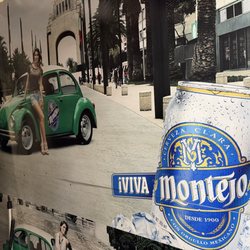 Volkswagen collection JUN2026