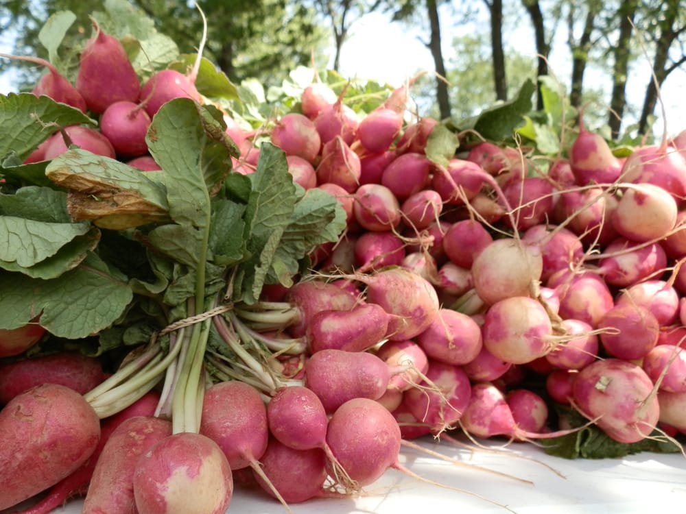 JACKSON FARMERS’ MARKET Updated September 2024 Jackson, Missouri
