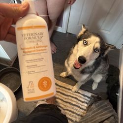 Little Dry Creek Dog Park - My dog getting a lice treatment.